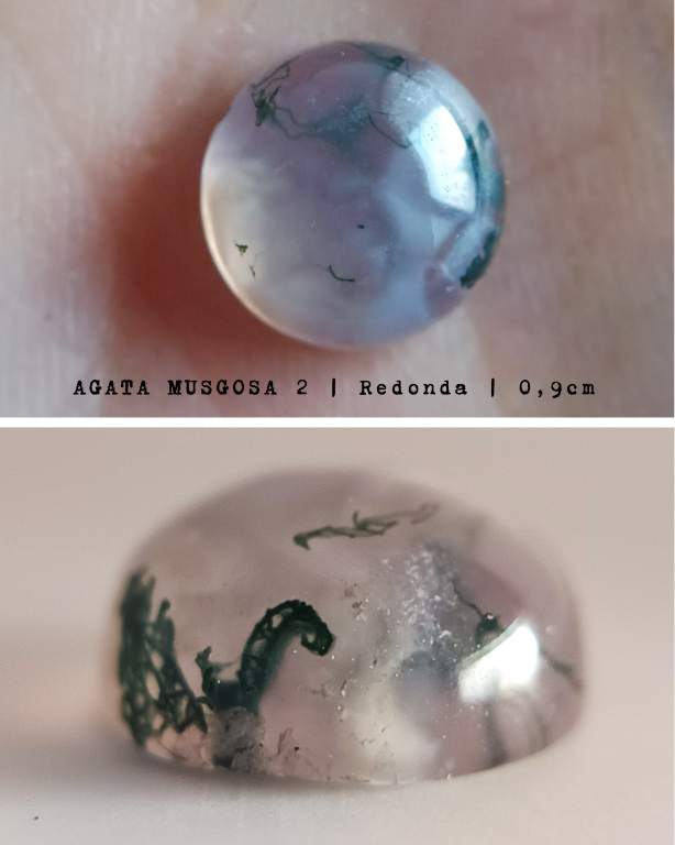 Imagen Galería: 